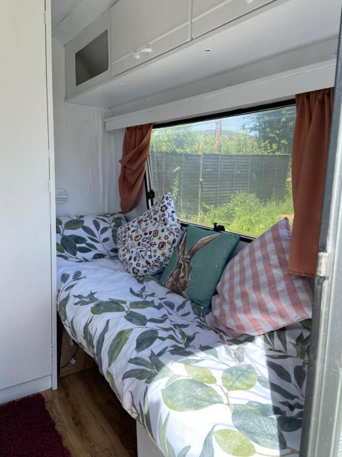 Cosy Caravan At Carrigeen Glamping Hotel Kilkenny Exterior foto